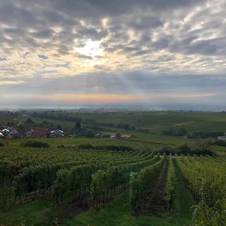 Lindenallee 20 Apartament Gleisweiler