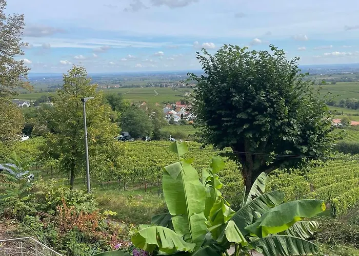 아파트 Lindenallee 20 Gleisweiler