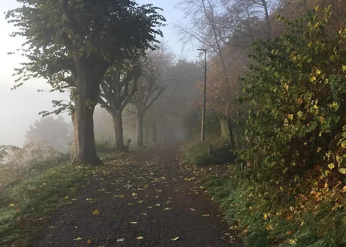 아파트 Lindenallee 20 Gleisweiler