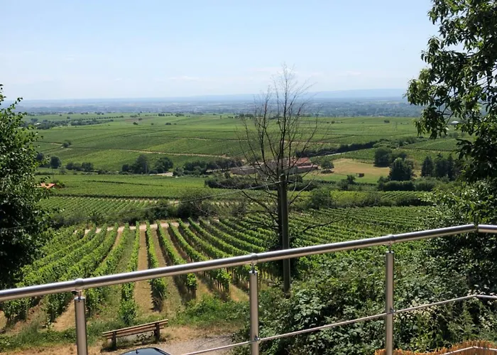 Lindenallee 20 아파트