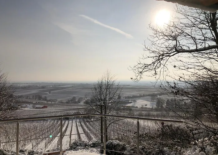 Lindenallee 20 아파트 *