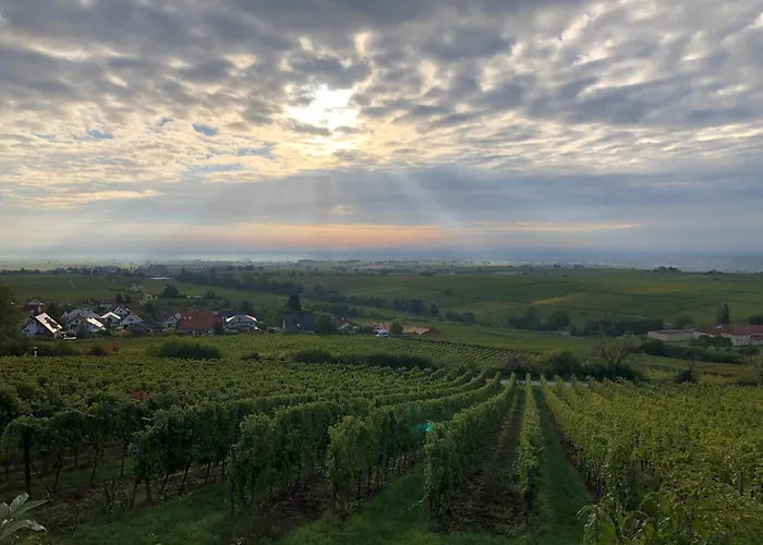 Lindenallee 20 아파트 Gleisweiler